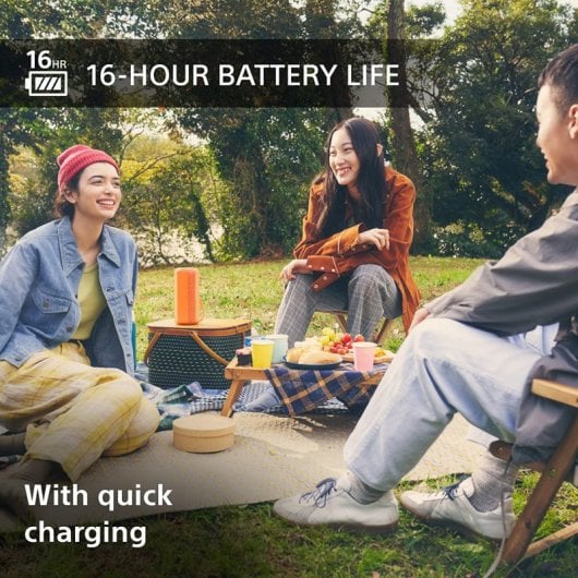 Sony SRS-XE200 Altavoz Bluetooth Portátil Impermeable Gris Claro