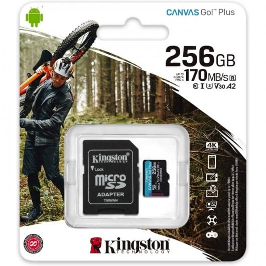Kingston Canvas Go! Plus MicroSDXC 256GB UHS-I U3 V30 Clase 10