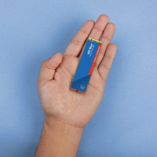 Disco SSD Sandisk Blue SA510 M.2 1TB SATA 6 Gbit/s prestazioni elevate