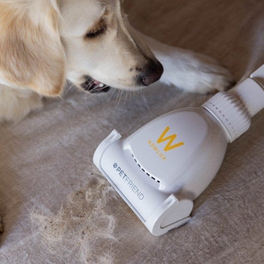 Newlux Aspirador Vertical Com Fio 800W Branco + Acessórios para Animais de Estimação