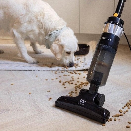 Aspirador com Saco Newlux InfinityPower V900 800W Animais Filtro HEPA Depósito 0.8L