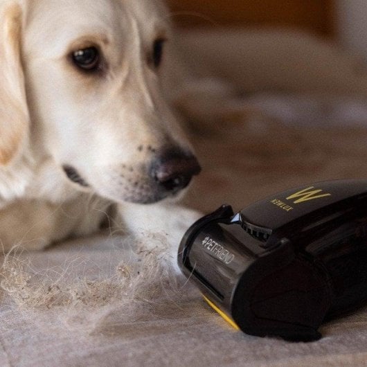 Aspirador com Saco Newlux InfinityPower V900 800W Animais Filtro HEPA Depósito 0.8L