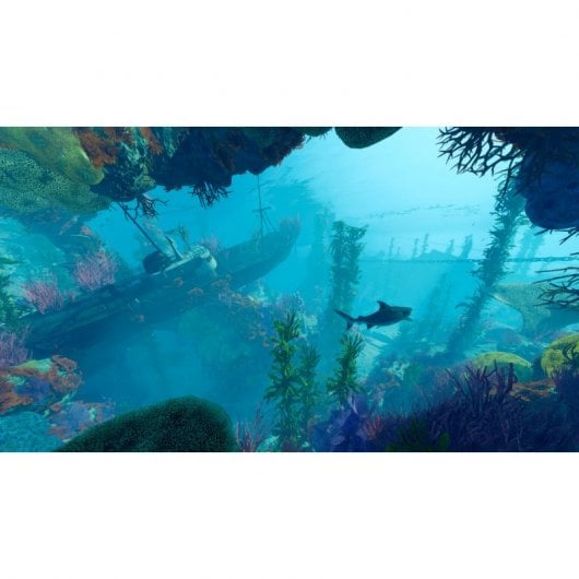 Maneater APEX Édition PS4