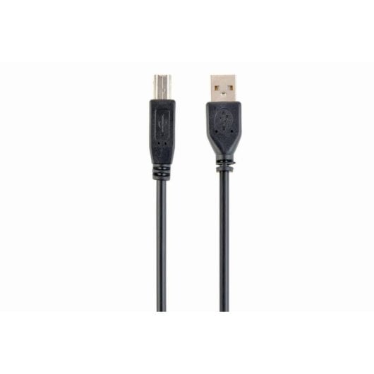 Câble USB Gembird CCP-USB2-AMBM-6 1,82 m connecteurs plaqués or Noir