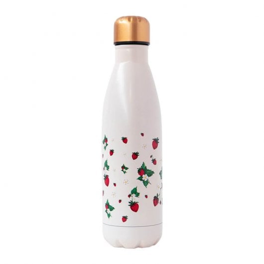 Erik Editores Botella Ana Marin 500 Ml En Metal