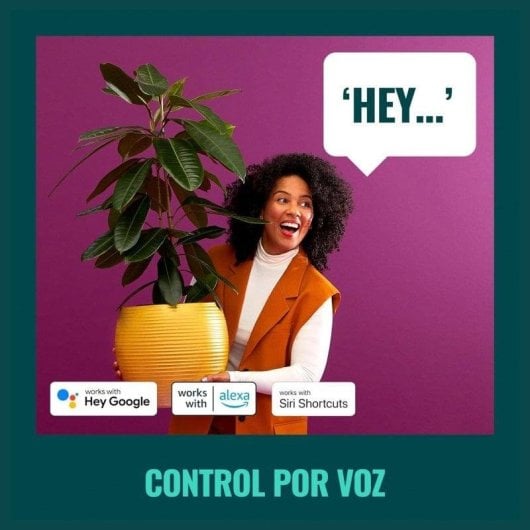 Prise intelligente WiZ Wi-Fi Commande vocale et Statistiques de consommation