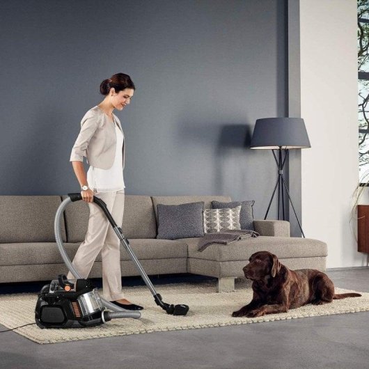 Aspiradora sin bolsa trineo AEG LX7-2-EB-P 750 W Filtro higiénico radio 9 m