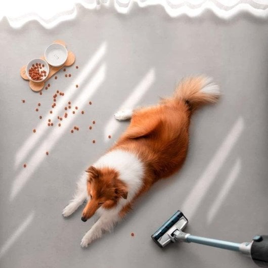 Cecotec Conga Rockstar 1600 Titanium Aspirador Escoba sin Cables 29.6V