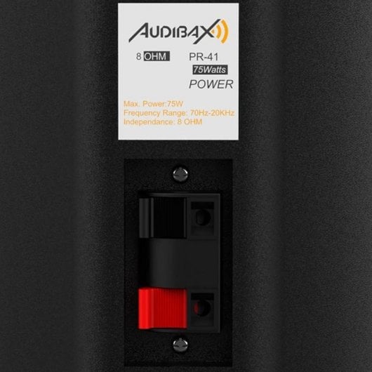 Audibax Pícolo PR-41 Paire d'enceintes bibliothèque et système audio HiFi avec support mural 75 W Noir
