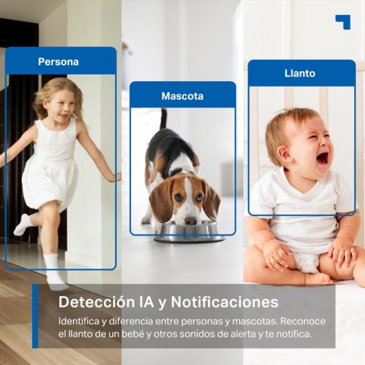 Tapo C225 Cámara de Vigilancia 360º Interior, 2K QHD, Detección IA Gratuita Avanzada, Visión Nocturna