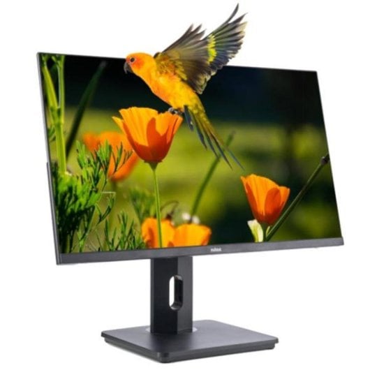 Monitor Nilox NXM24REG02 24" FullHD 75Hz VA Tiempo de Respuesta 4ms Base Ajustable