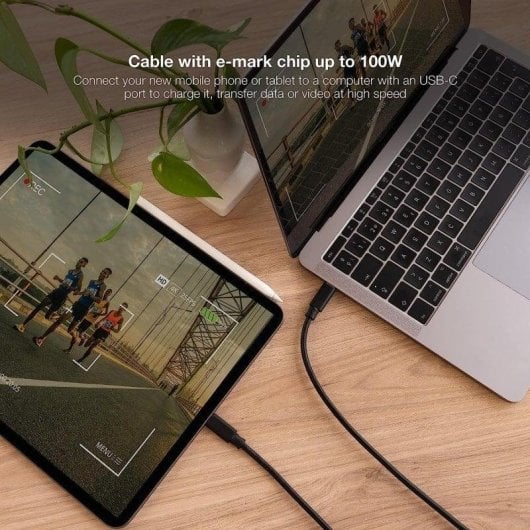 Câble USB-C Nanocable 10.01.4100 0,5 m 100 W 10 Gbps Noir Vidéo 4K 60Hz