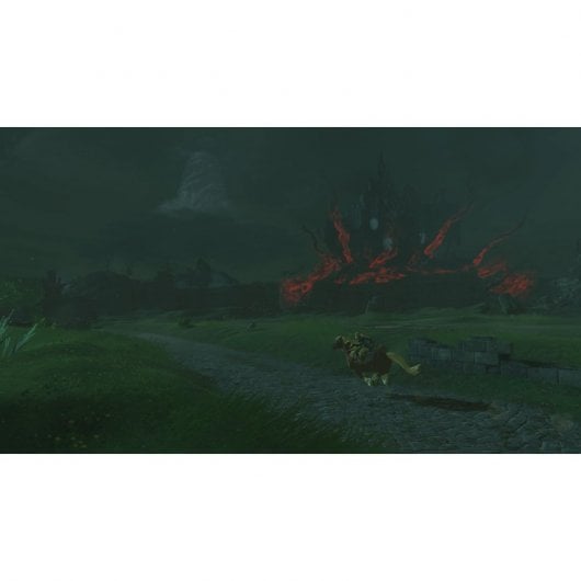 The Legend of Zelda: Tears of the Kingdom Edición Coleccionista Nintendo Switch