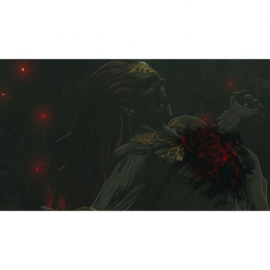 The Legend of Zelda: Tears of the Kingdom Edición Coleccionista Nintendo Switch