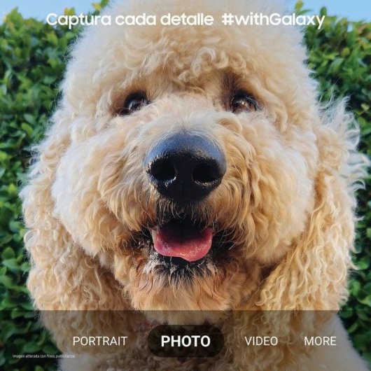 Samsung Galaxy S23 Plus 5G 8GB 256GB 6.6" Noir