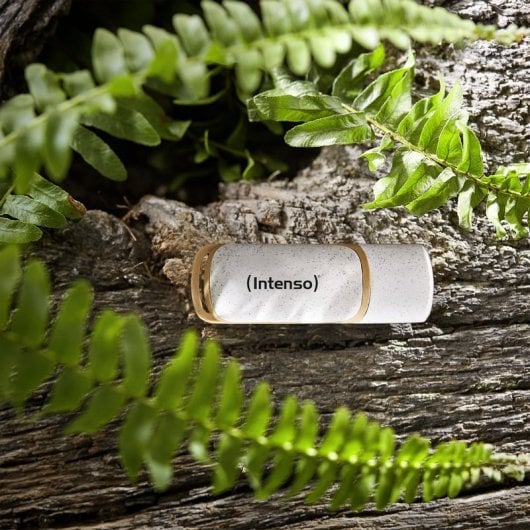 Intenso Green Line 3540490 Memoria USB 3.2 64GB