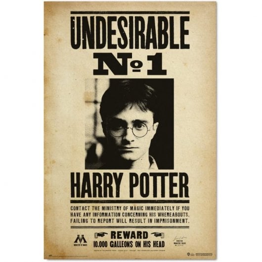 Erik Affiche Harry Potter Indésirable N1 91,5x61cm