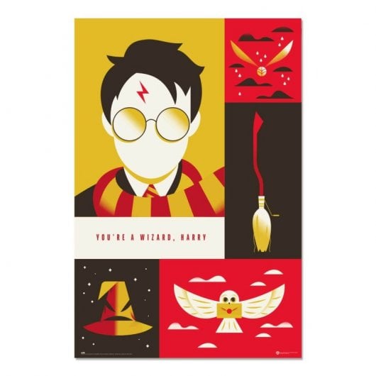 Poster Erik Harry Potter 100° anniversario WB 91,5x61 cm