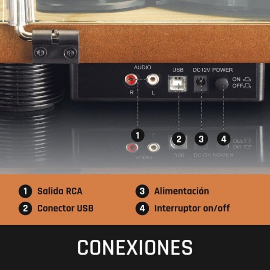 Lenco LS-50WD Tocadiscos con 3 Velocidades Codificación USB Madera