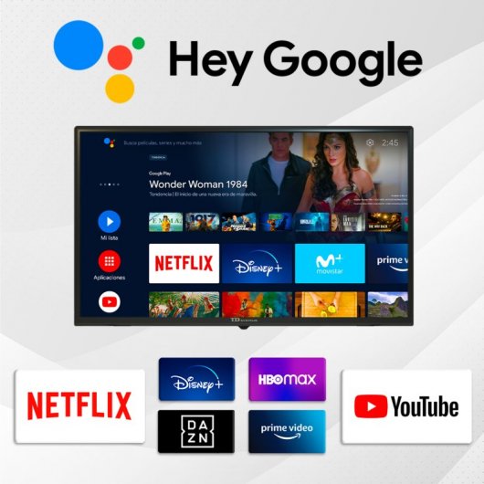 TD Systems PX24GLE14 24" LED HD Ready