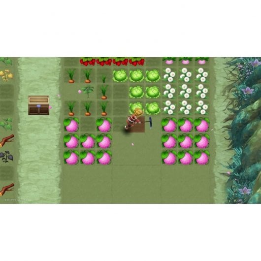 Rune Factory 3 Special Standard Nintendo Switch