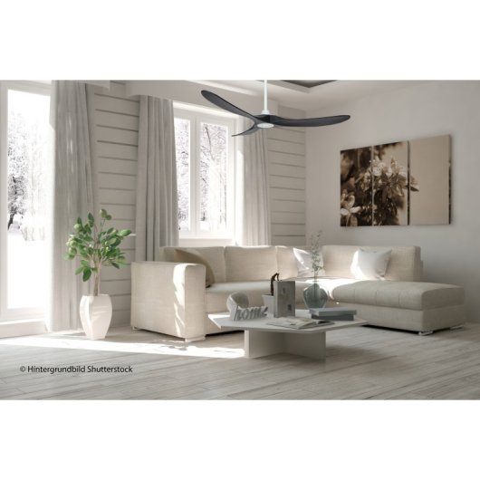 CasaFan 315229 Eco Original Deckenventilator mit Fernbedienung, 14 W, 152 cm, Schwarz/Weiß