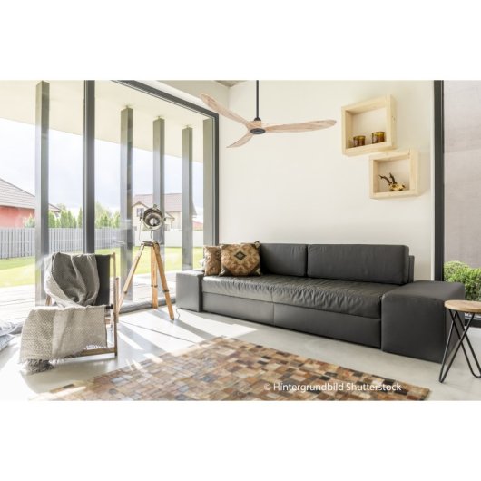 CasaFan 315218 Eco Original Deckenventilator mit Fernbedienung, 14 W, 152 cm, Massivholz/Mattschwarz