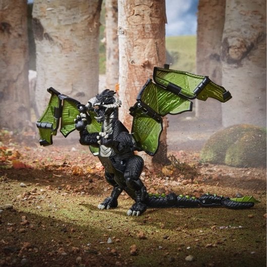 Dungeons & Dragons Rakor