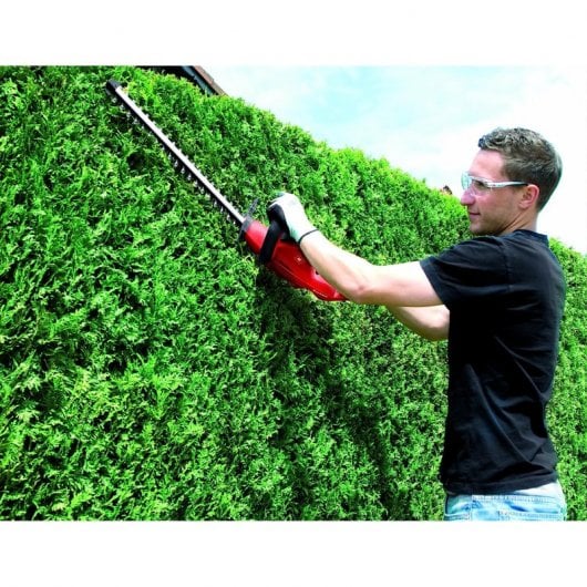 Einhell GH-EH 4245 Lama singola 420 W 2,5 kg