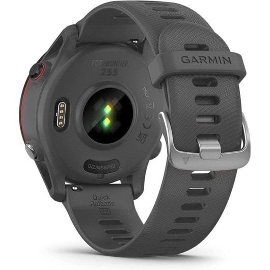 Garmin Forerunner 255 GPS Bluetooth 46mm MIP Gris Étanche 5ATM Pulsomètre SpO2 Suivi Sommeil