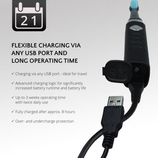 Ailoria Flash Travel Cepillo de Dientes Sónico USB Eclipse Black