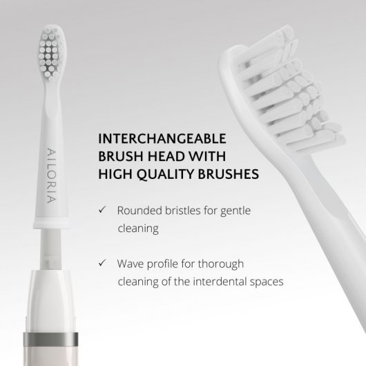 Ailoria Flash Travel Brosse à Dents Sonique USB Poudre