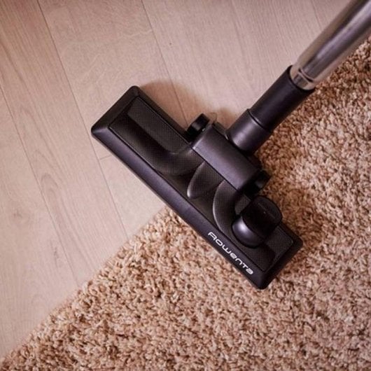 Aspirapolvere senza Sacco Rowenta Swift Power Cyclonic RO2910EA 750W Compatta