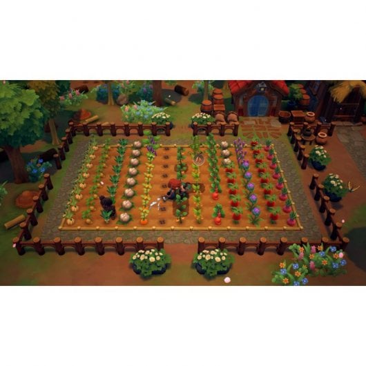 La ferme des fées Nintendo Switch