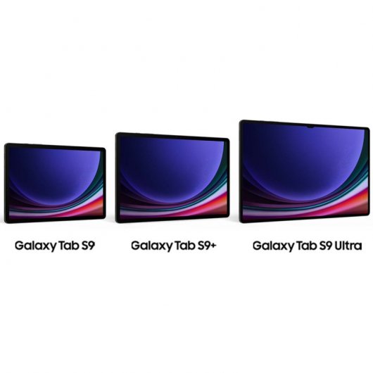 Samsung Galaxy Tab S9 Ultra 5G 12/512GB Gris + Cargador 25W