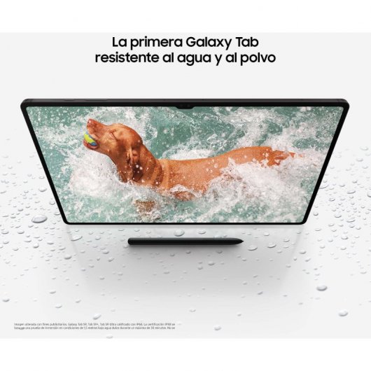 Samsung Galaxy Tab S9 Ultra 5G 12/512GB Gris + Cargador 25W