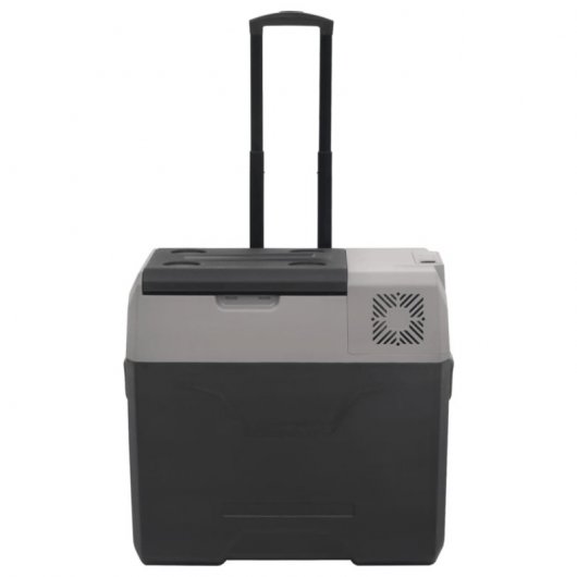 vidaXL Réfrigérateur portable avec roulettes et adaptateur secteur 12-24V/100-240V 30L Noir/Gris