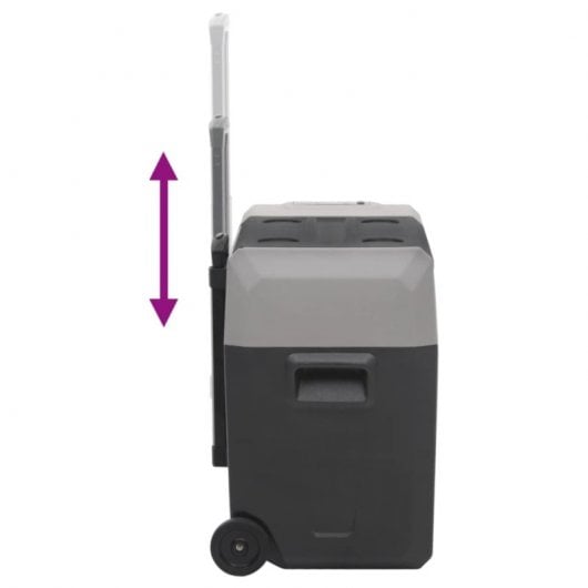 vidaXL Réfrigérateur portable avec roulettes et adaptateur secteur 12-24V/100-240V 30L Noir/Gris