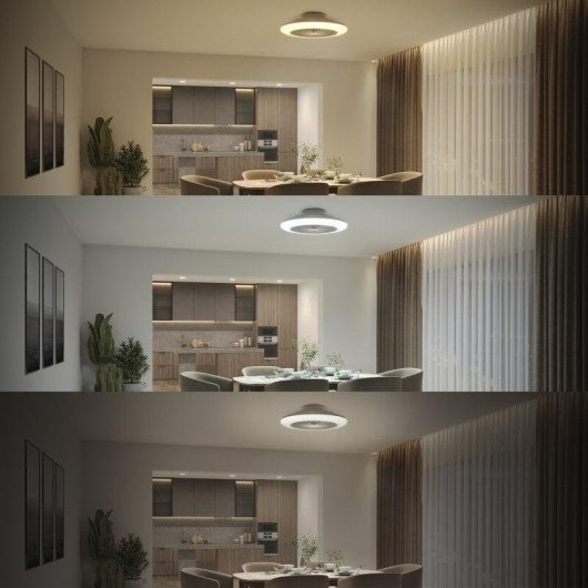 Ventilateur de Plafond avec Lumière Philips Amigo 48W 49cm 3 Vitesses Télécommande Fonction Hiver LED