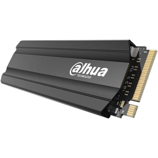 Dahua Technology E900 256 GB SSD M.2 PCI Express 3.0 3D TLC NVMe