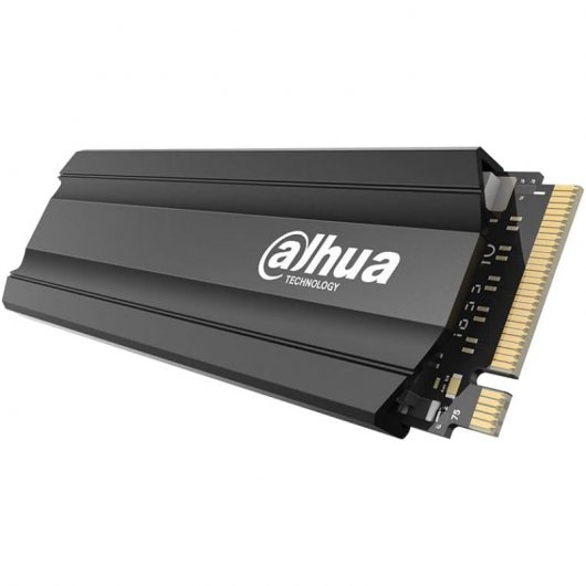 Dahua Technology E900 SSD 256GB M.2 PCI Express 3.0 3D TLC NVMe