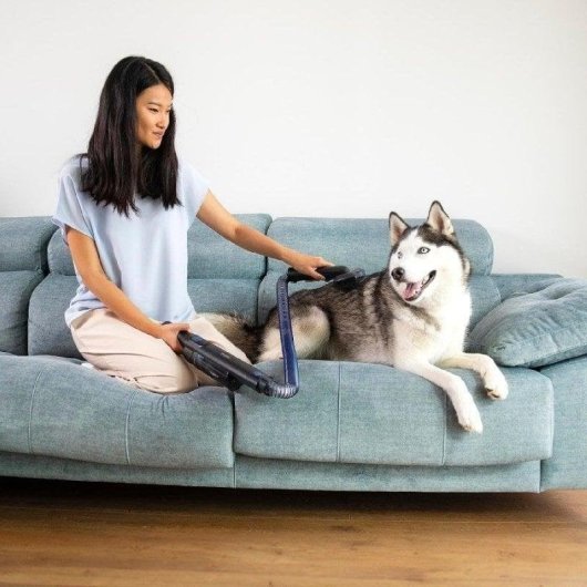 Cecotec Scoba 2100 Twice Animal Aspirador Escoba sin Cables 210W Negro