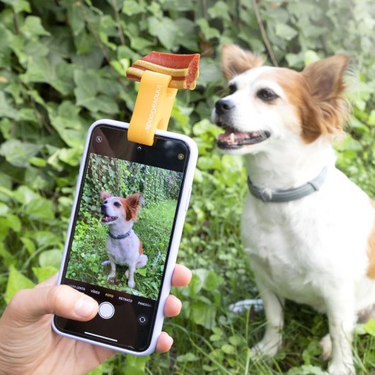 Pince à selfie Pefie Innovagoods pour animaux de compagnie