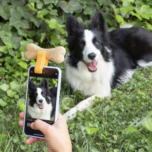 Pince à selfie Pefie Innovagoods pour animaux de compagnie