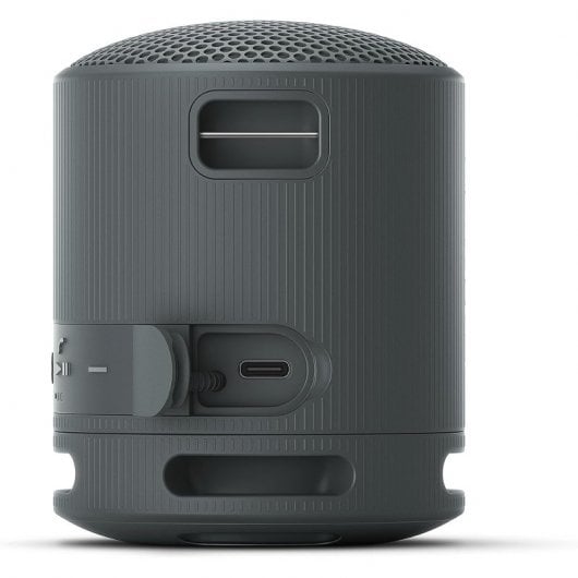 Sony SRS-XB100 Coluna Portátil Bluetooth Preta