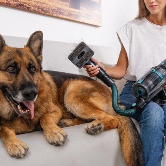 Aspirador sem Fio Cecotec Conga Rockstar 2500 Thunder Flex Animal 400W 65min Animais Escova Flexível