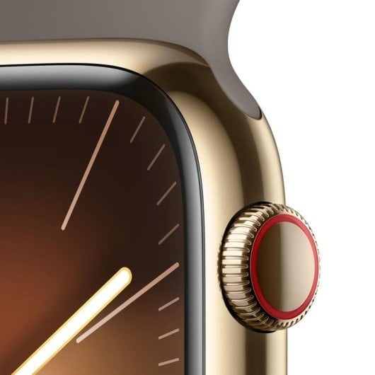 Apple Watch Series 9 GPS + Cellular 45mm Retina OLED Gold Edelstahl Braun S/M IP6X SpO2 Herzfrequenz Schlaf NFC