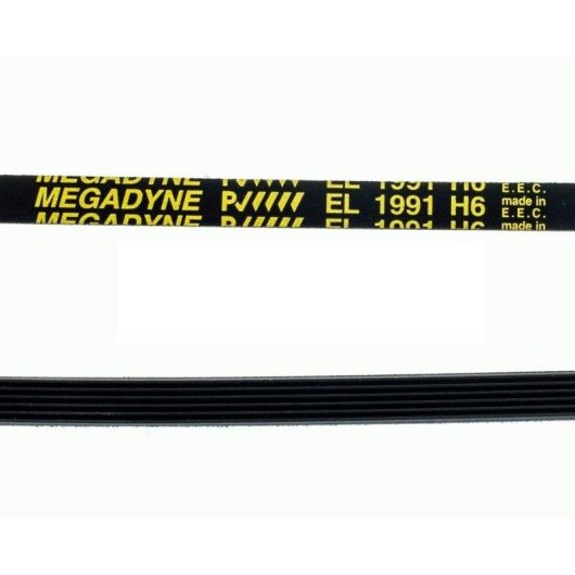 Correia de Secagem Megadyne 1991 H6 144002145