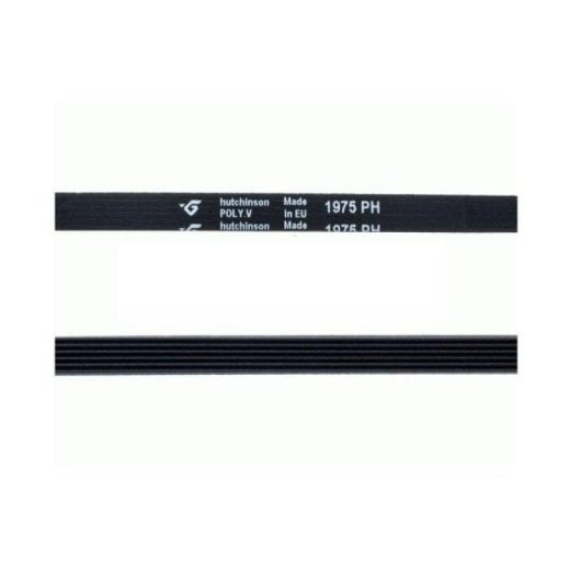 Correa Secadora 1975 mm Tipo H 5 Canales 6 Dientes OEM