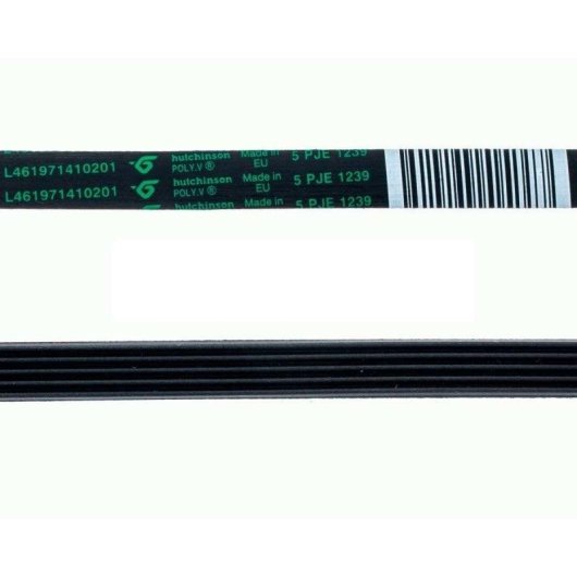 Correa de transmisión Hutchinson 1239 mm POLY-V J 5 dientes 4 canales